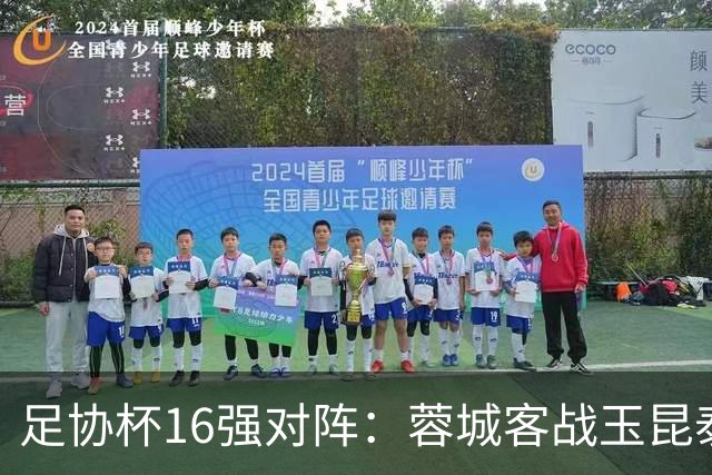足协杯16强对阵：蓉城客战玉昆泰山战三镇 国安遭遇中乙队